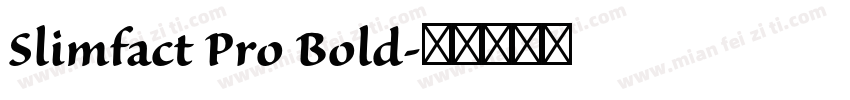 Slimfact Pro Bold字体转换